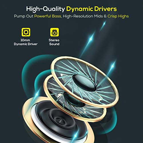 pTron Pride Lite in-Ear Wired Earphones with in-line Mic, 10mm Dynamic Driver, Immersive Sound, Metal Buds, Compatible with 3.5mm Aux Port & 1.2m Tangle-Free Cable (Gray)